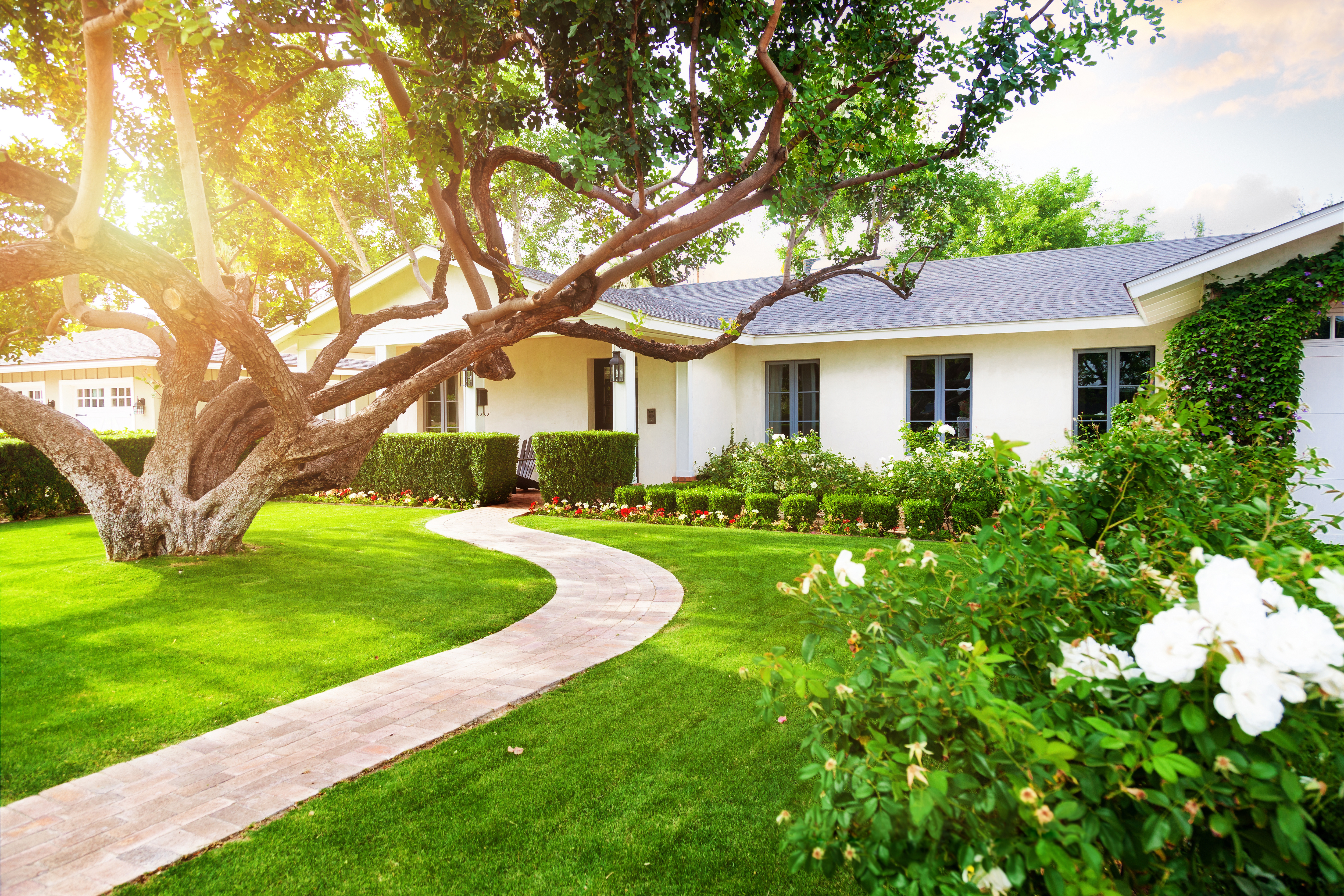 house with green yard